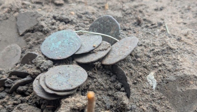 118 мідних монет XIV століття, знайдених археологами неподалік Куземина.